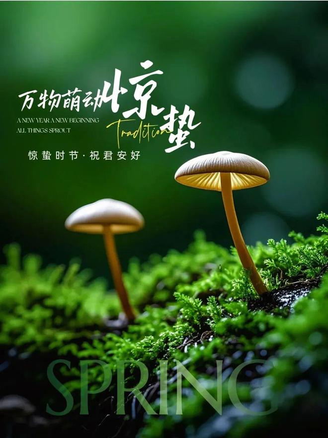 三大忌遇到一定要躲开才能越走越顺！lon