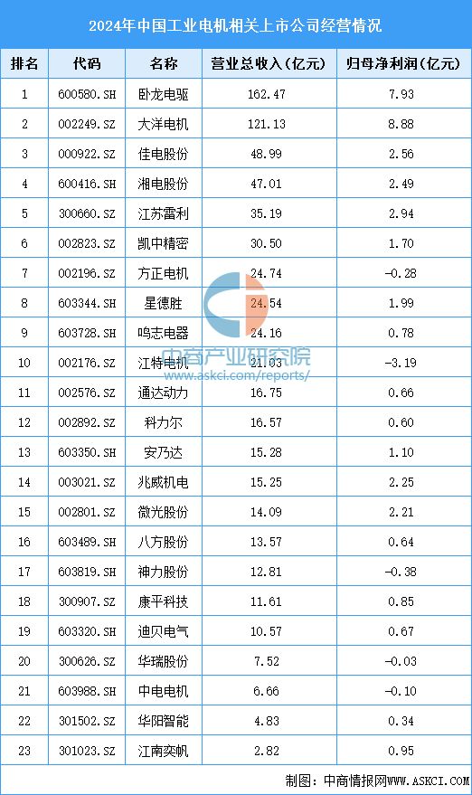 行业市场前景预测研究报告2025年中国工业电机(图17)